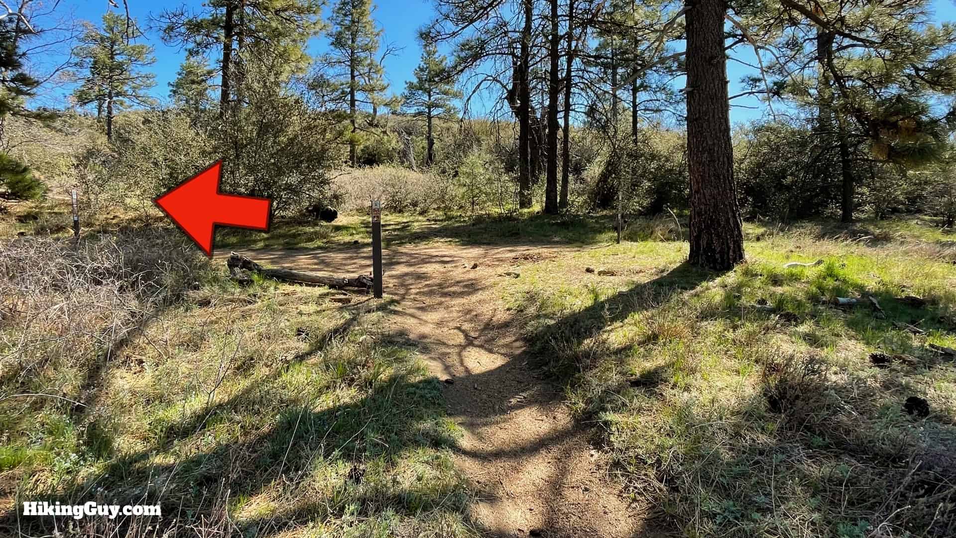 Big Laguna Trail Directions 43