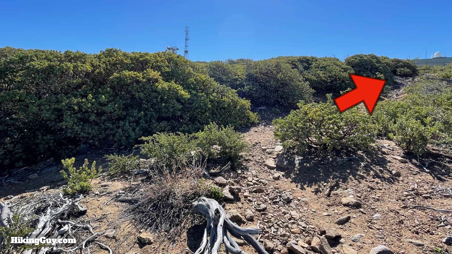 Big Laguna Trail Directions 49