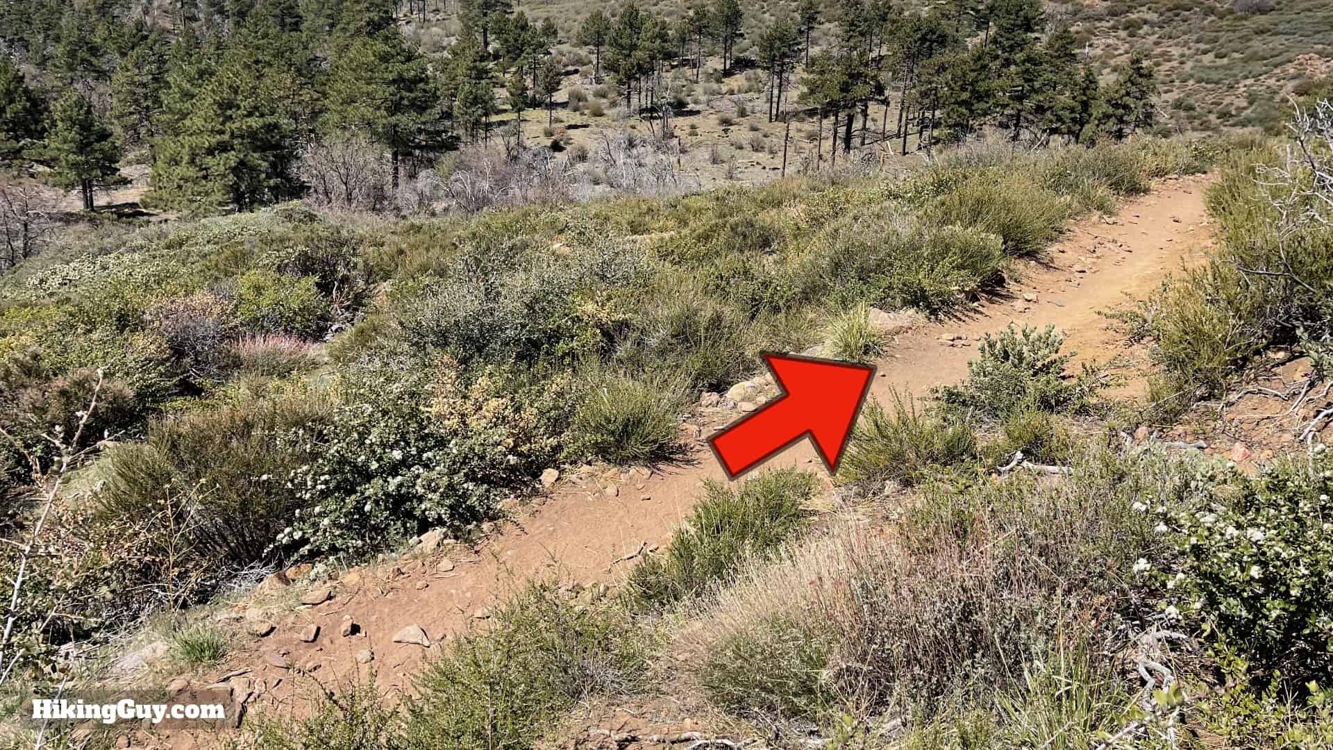 Big Laguna Trail Directions 65