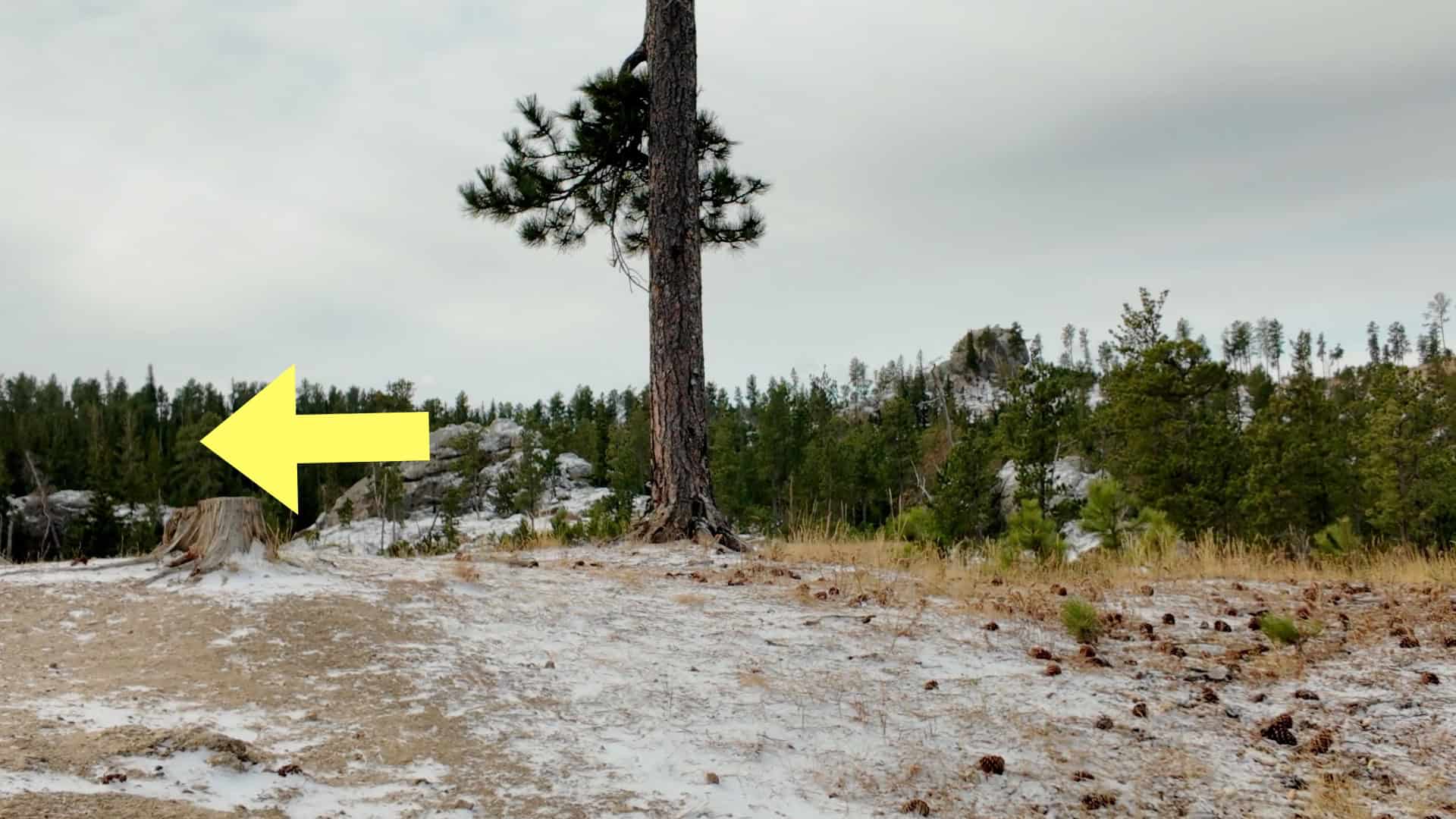 Black Elk Peak Hike Directions 3