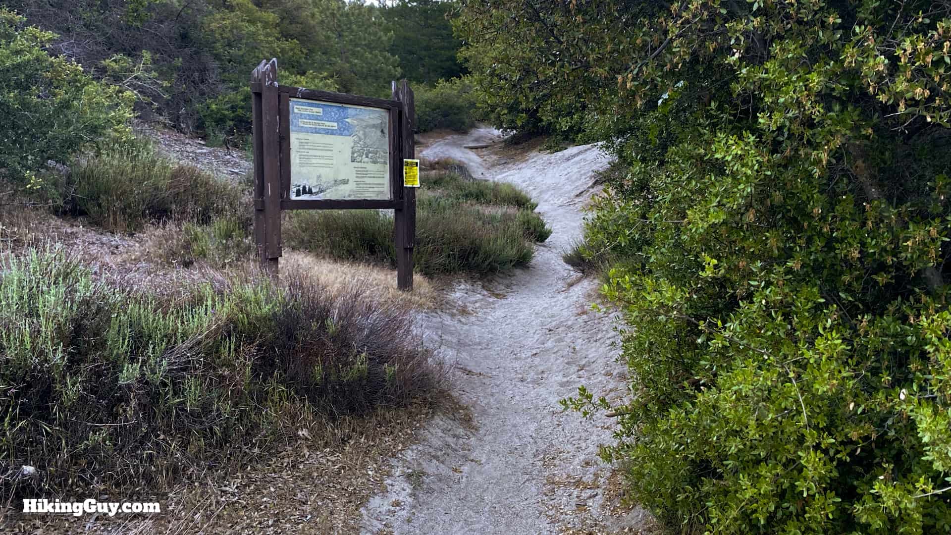 Black Mountain Trail Directions 1