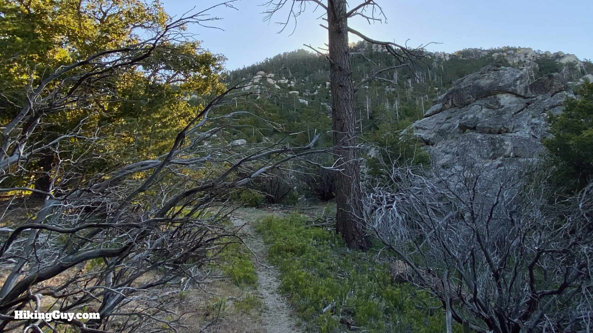 Black Mountain Trail Directions 14