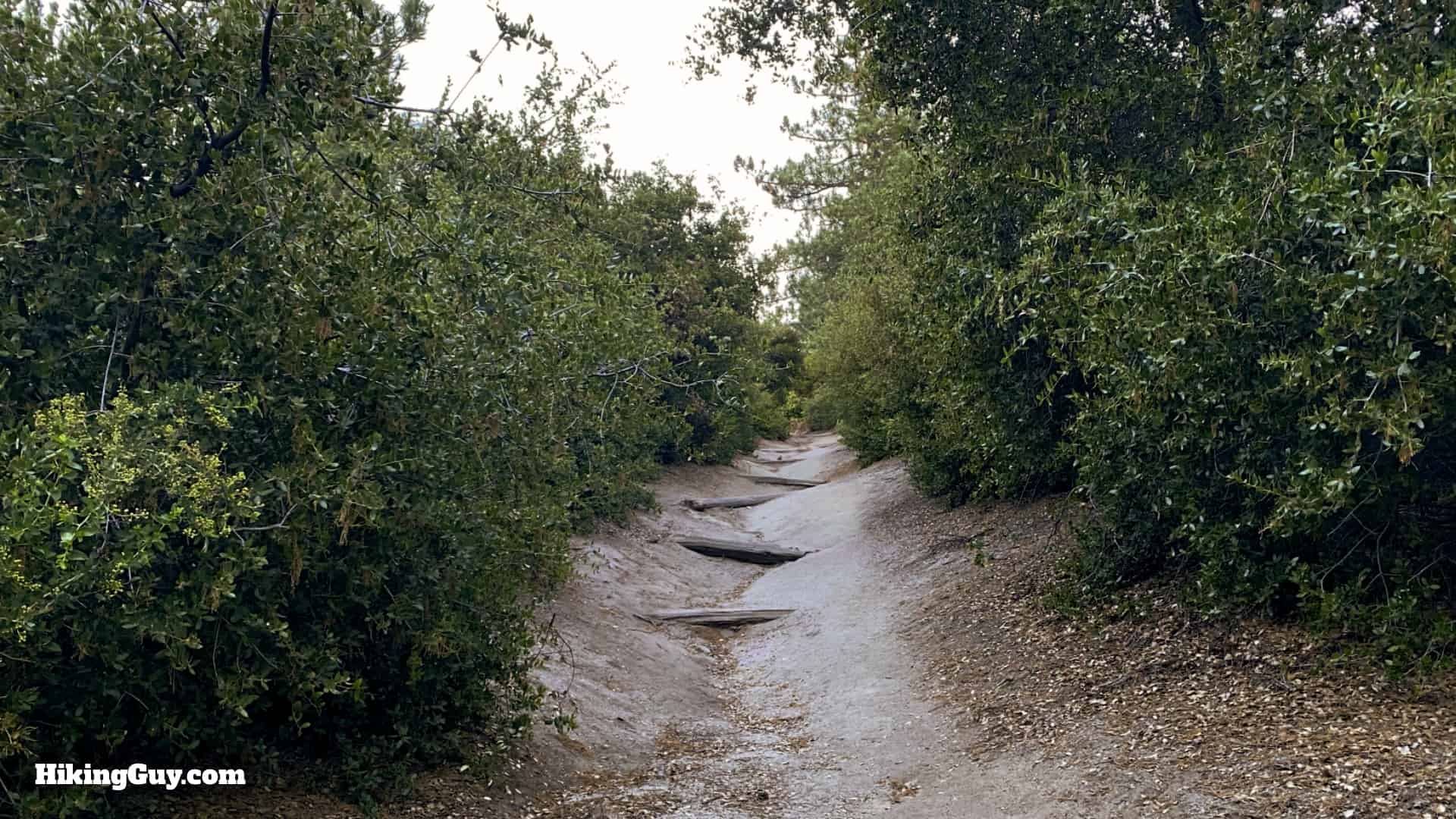 Black Mountain Trail Directions 5