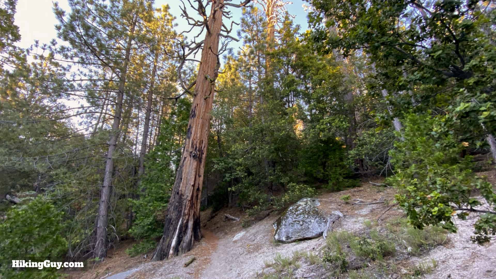 Black Mountain Trail Directions 8