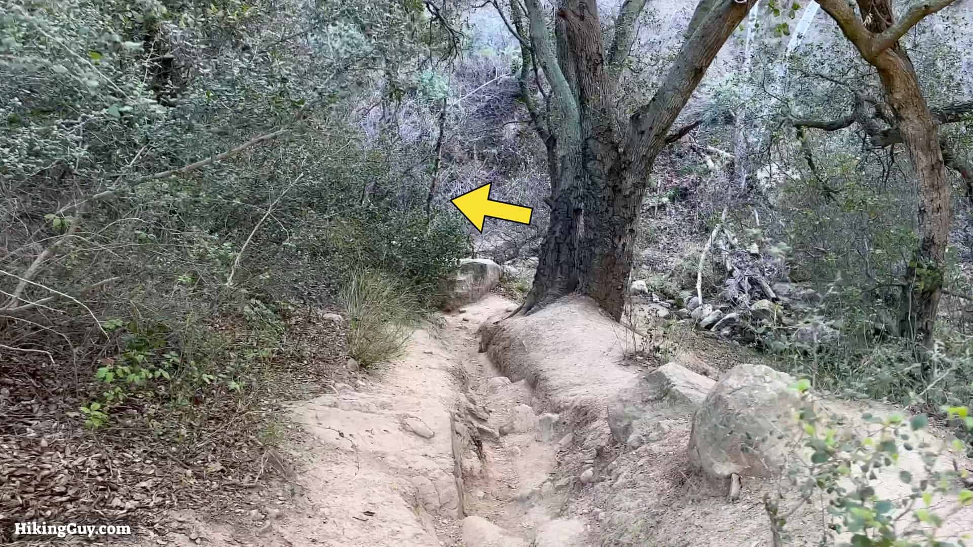 Black Star Canyon Falls Hike Directions 11