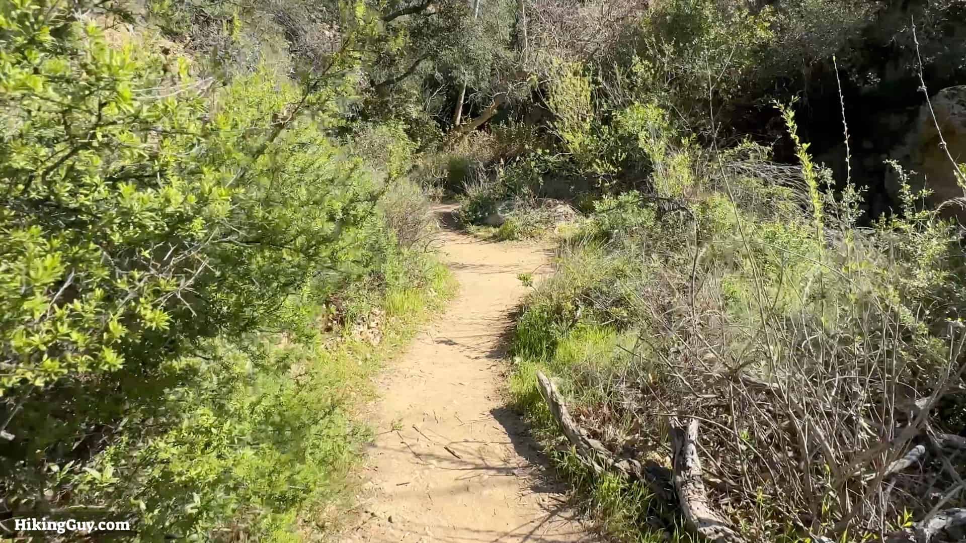 Black Star Canyon Falls Hike Directions 14