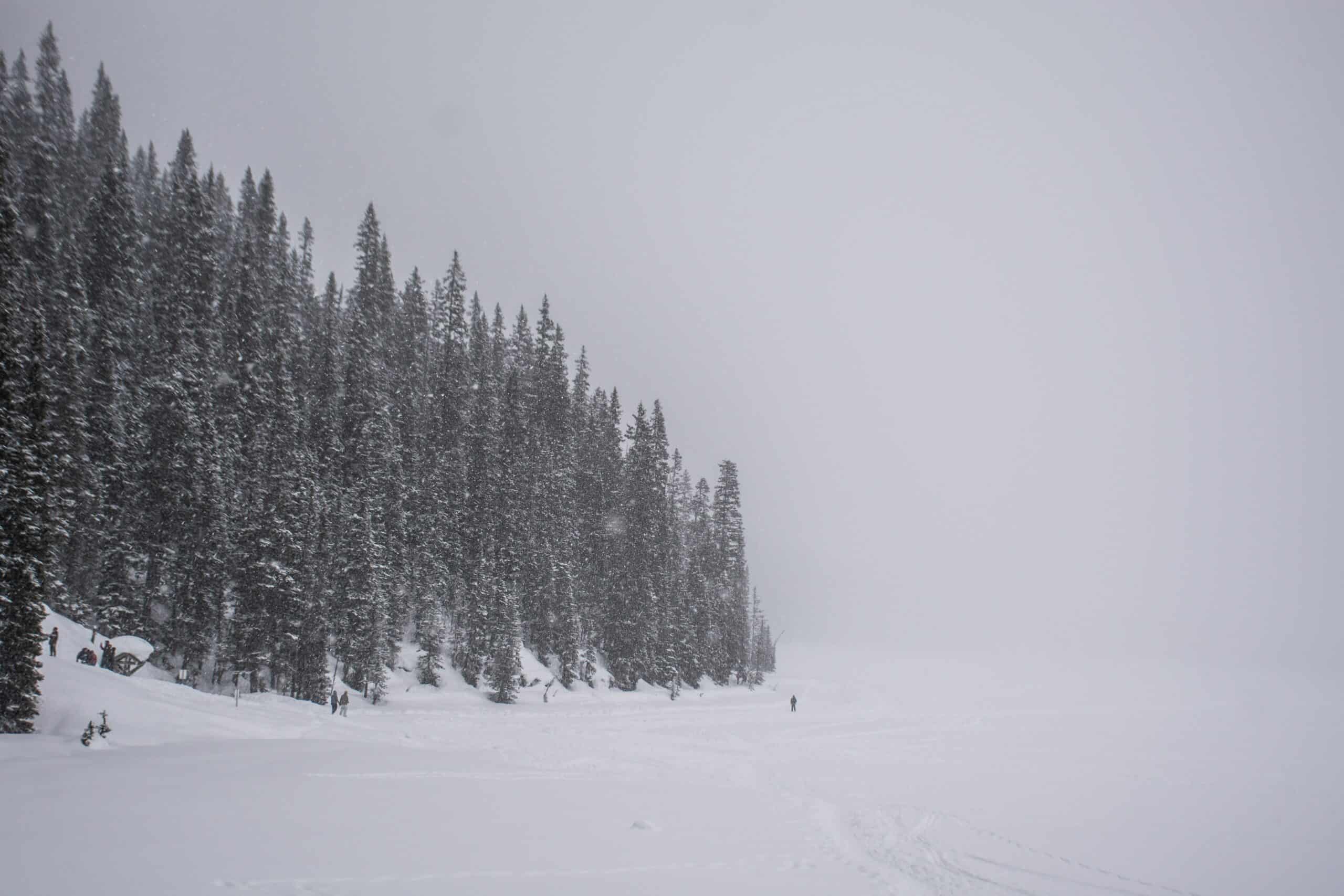 Blizzard
