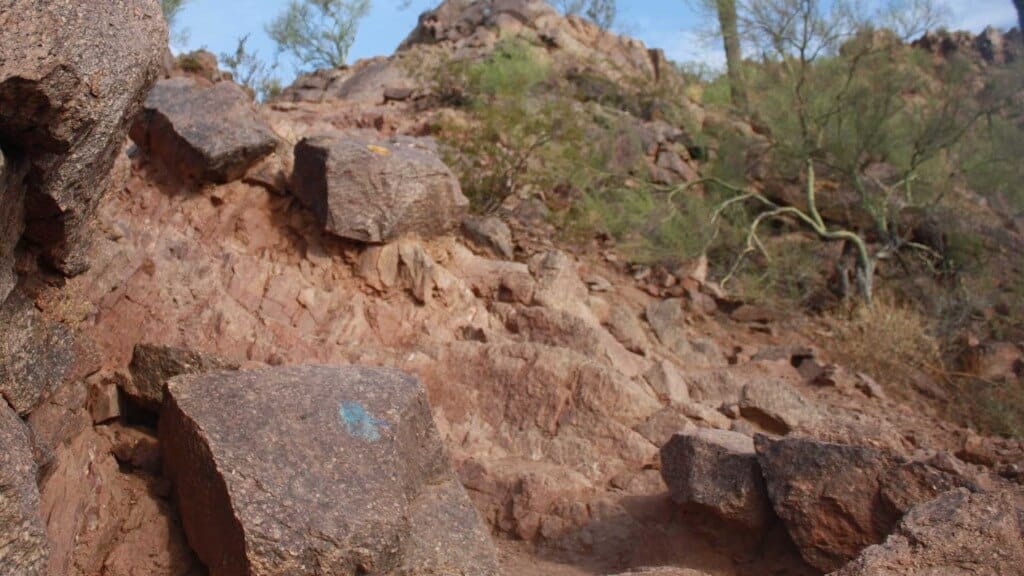 blue and yellow paint blazes