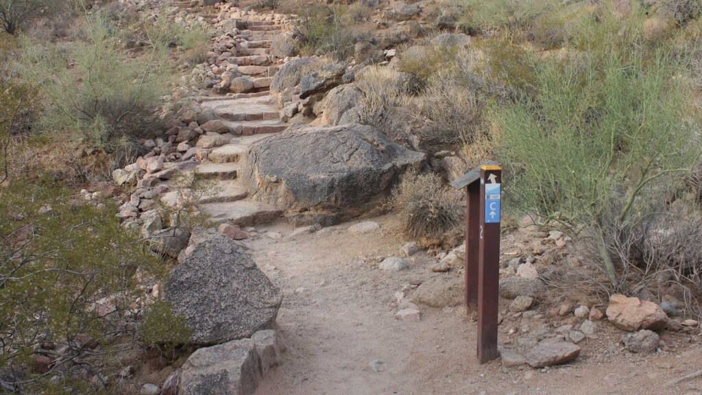 blue Cholla Trail makers