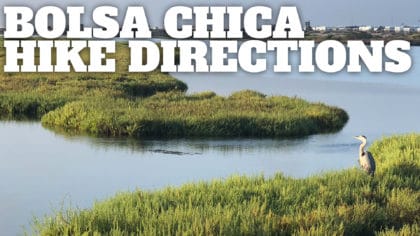Bolsa Chica Ecological Reserve Hike