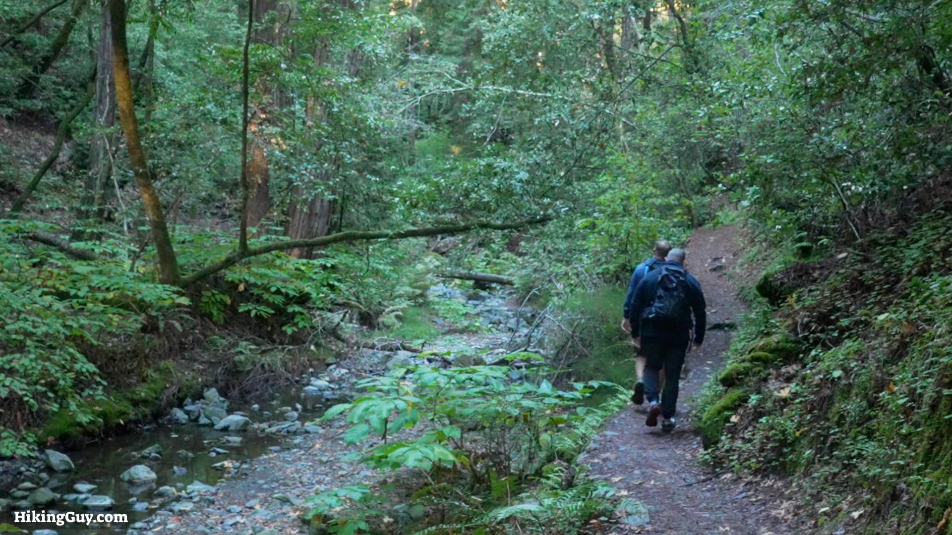 Bootjack Loop Trail Directions 02