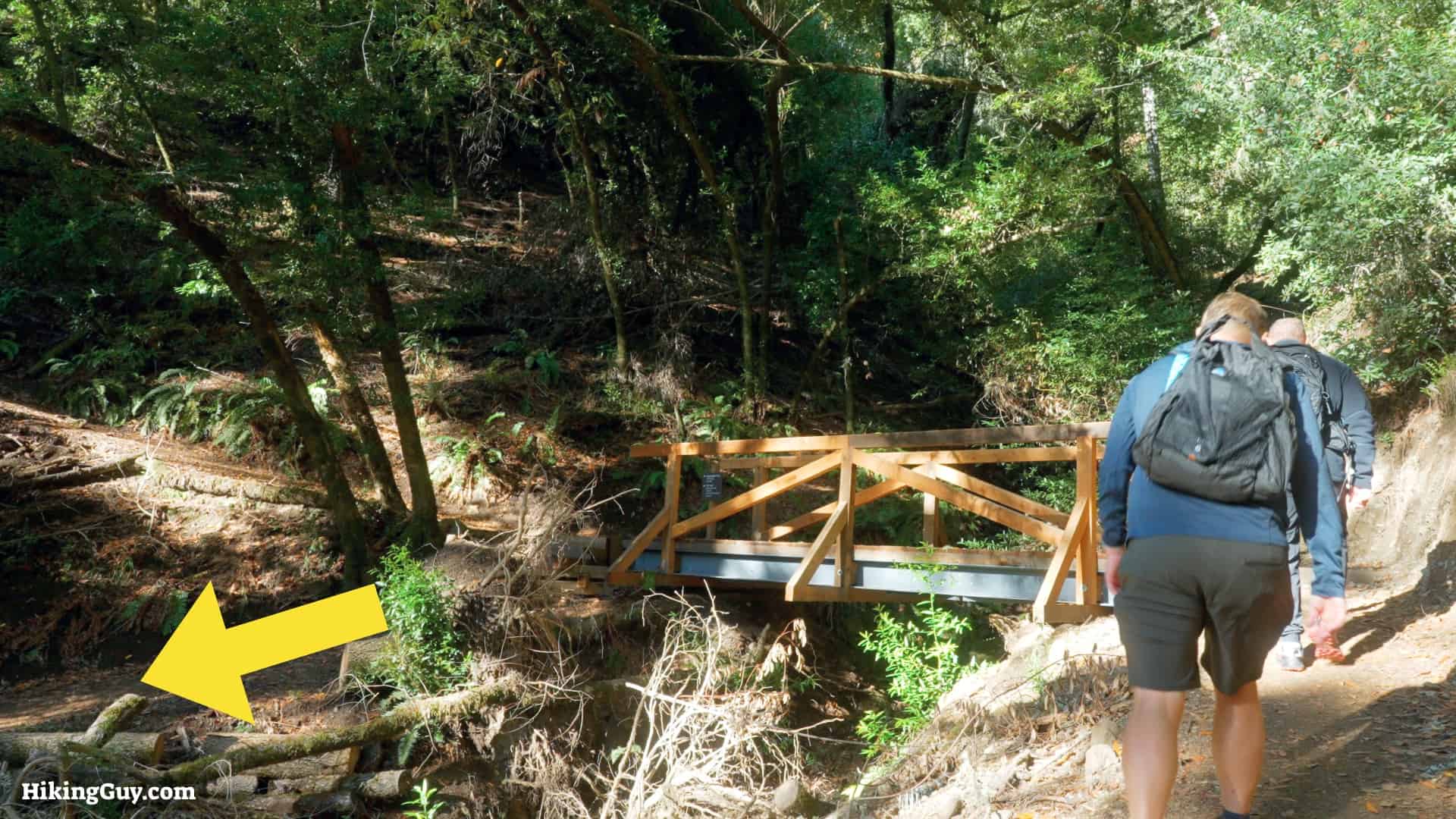 Bootjack Loop Trail Directions 06