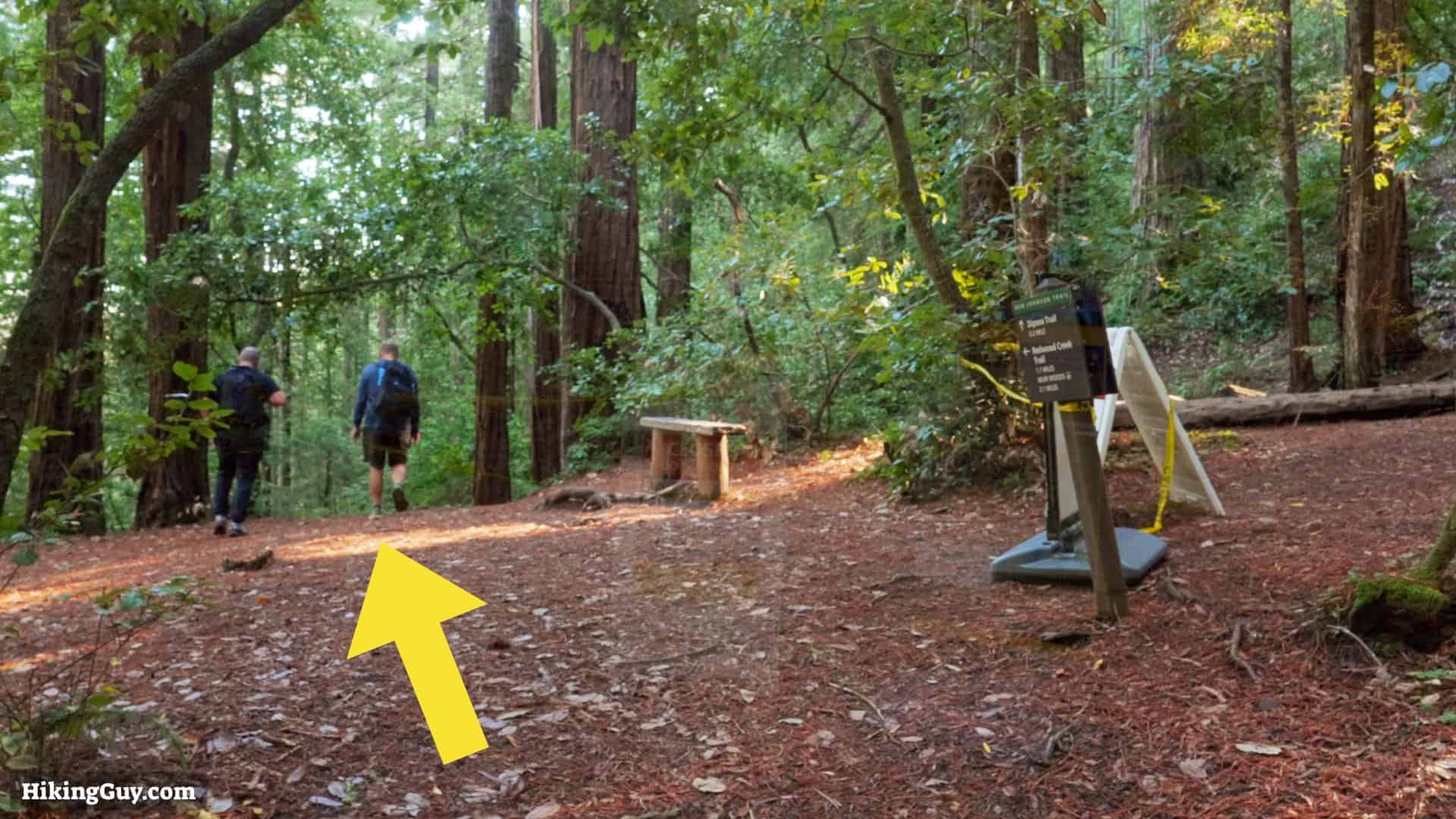 Bootjack Loop Trail Directions 08