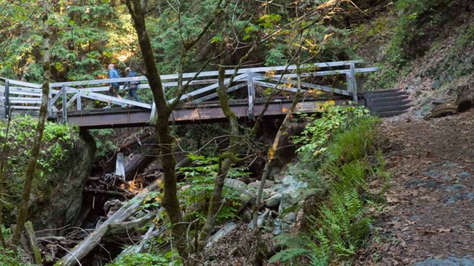 Bootjack Loop Trail Featured