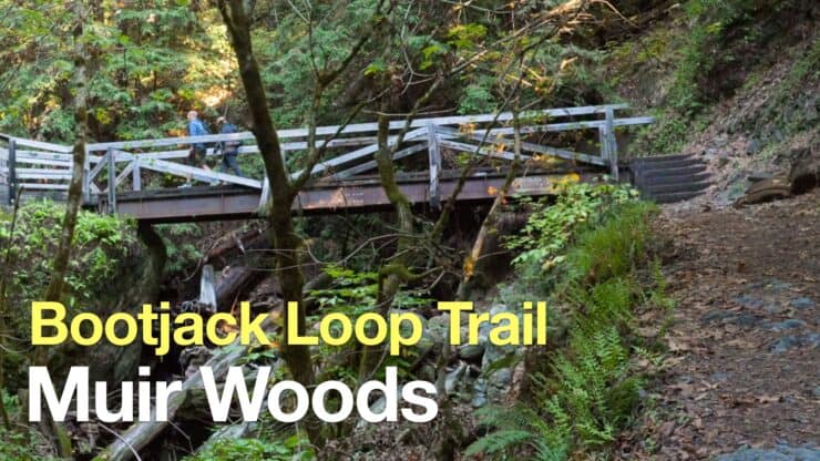 Bootjack Loop Trail