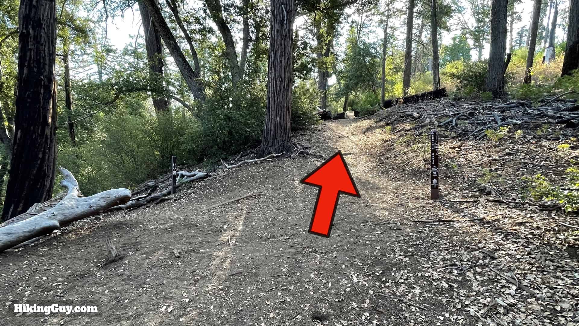 Boucher Trail Fire Tower Loop Directions 68