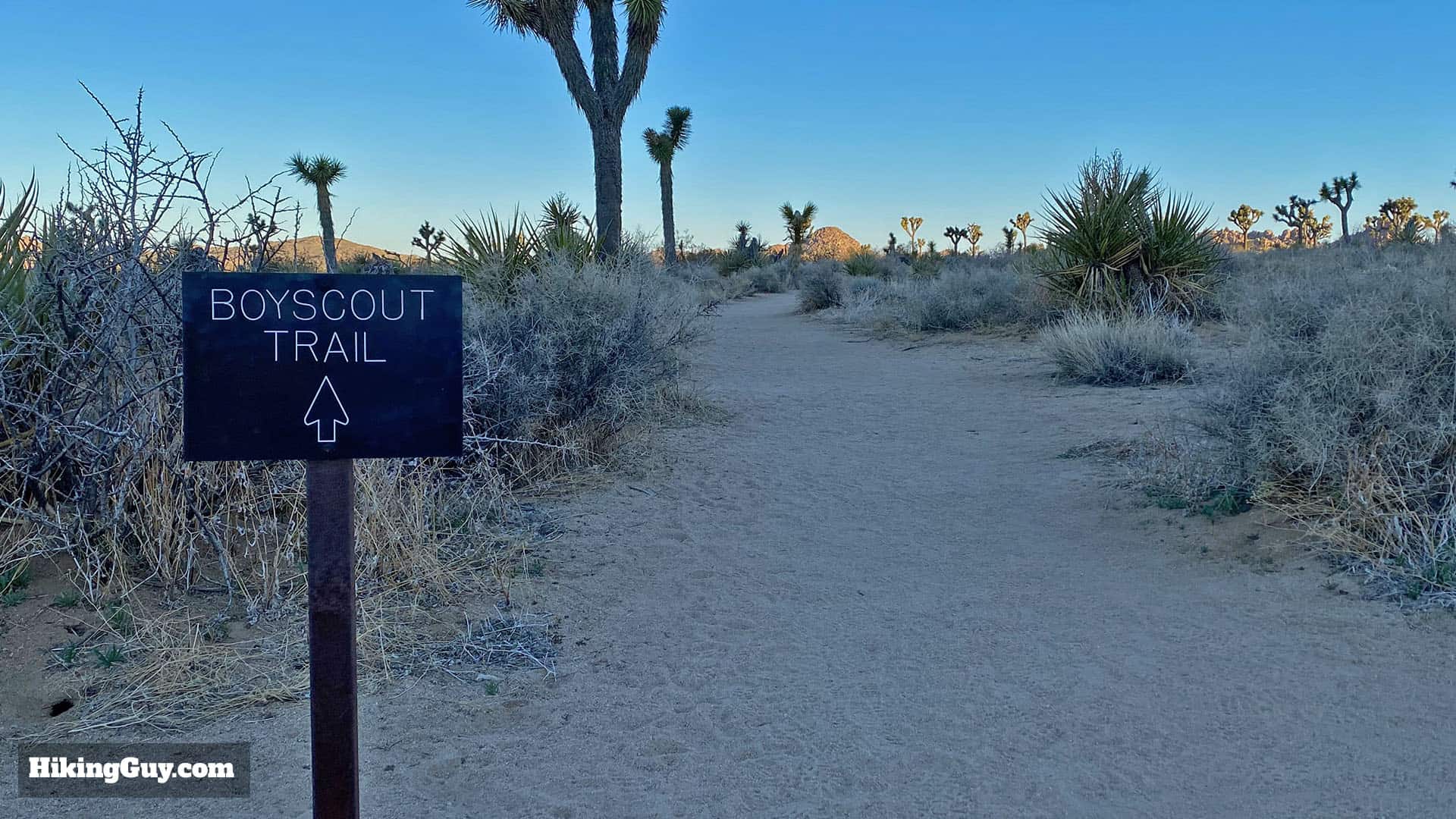 Boy Scout Trail Directions 12