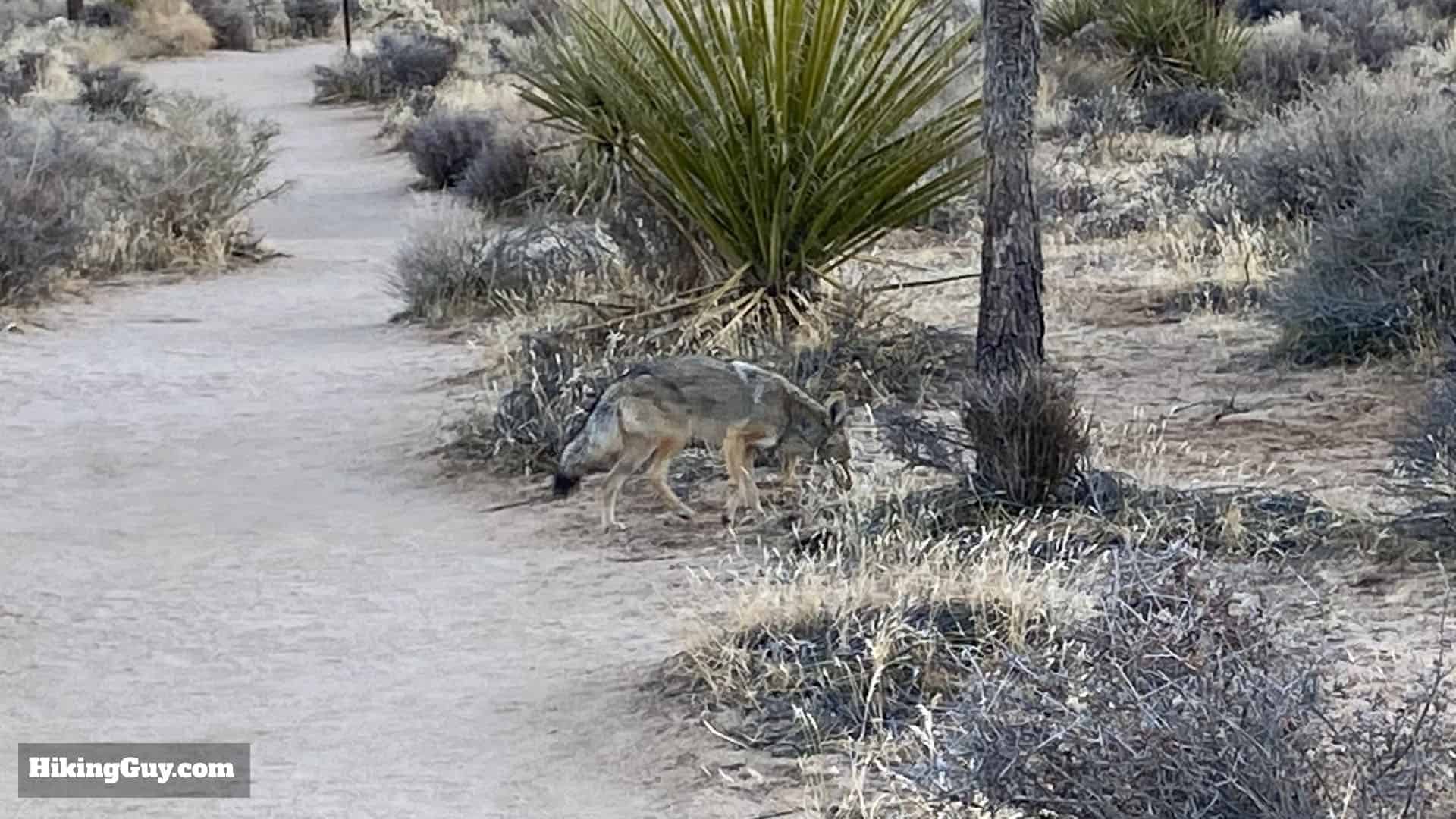 Boy Scout Trail Directions 5