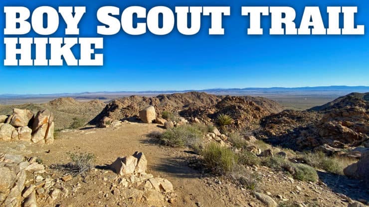Boy Scout Trail (Joshua Tree) Hike