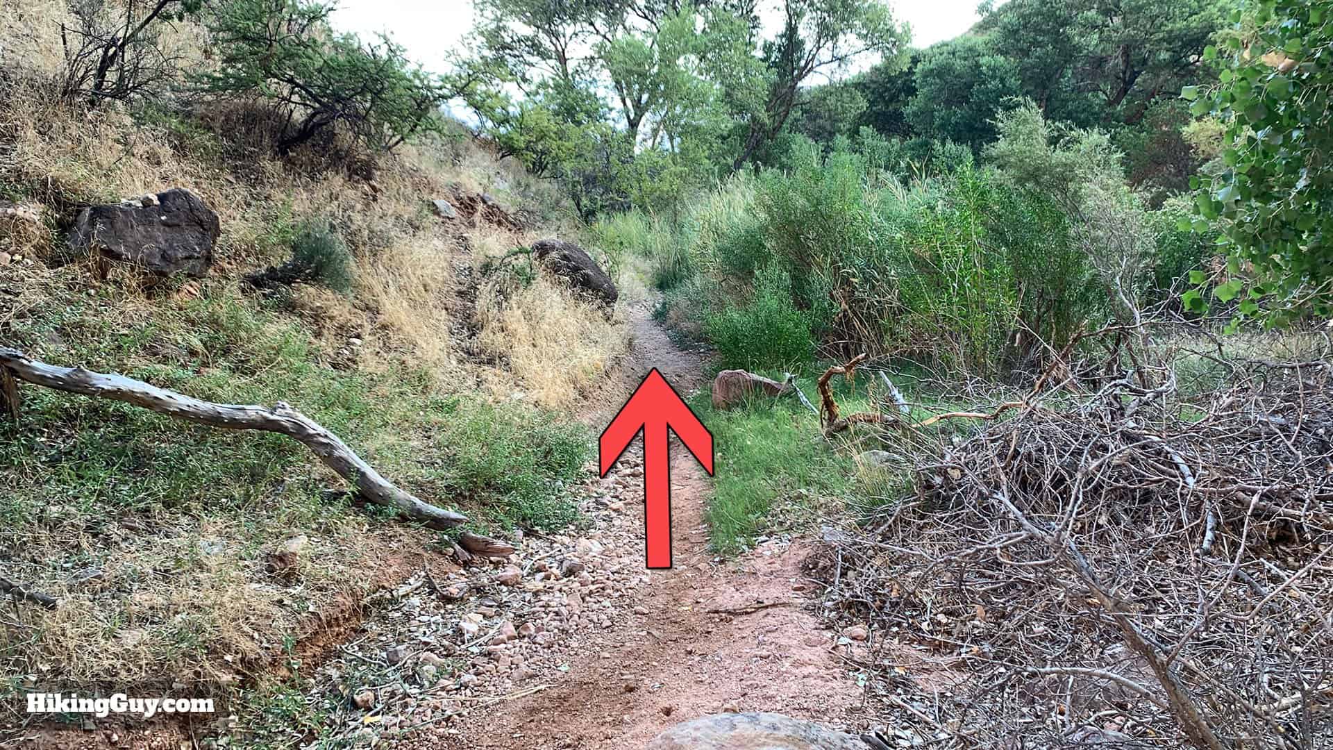 Bright Angel Trail 53