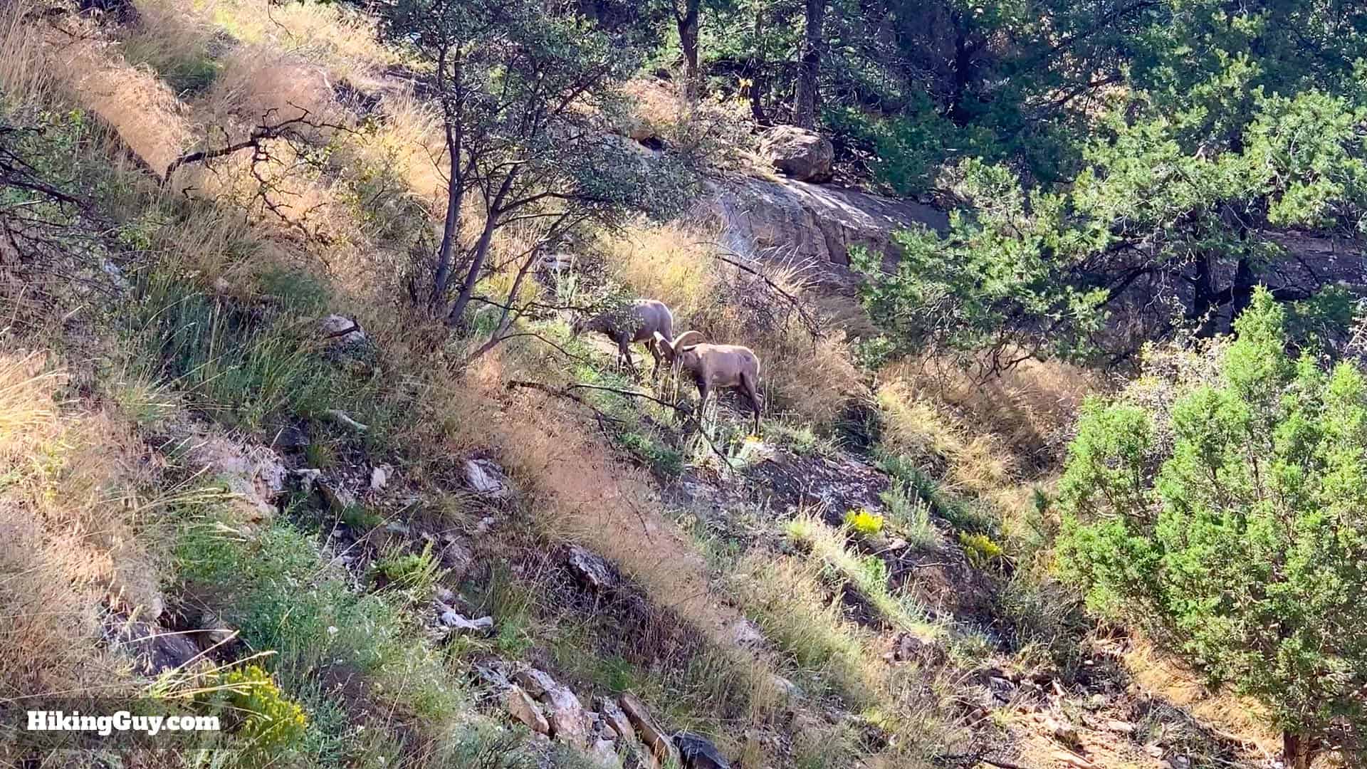 Bright Angel Trail 75