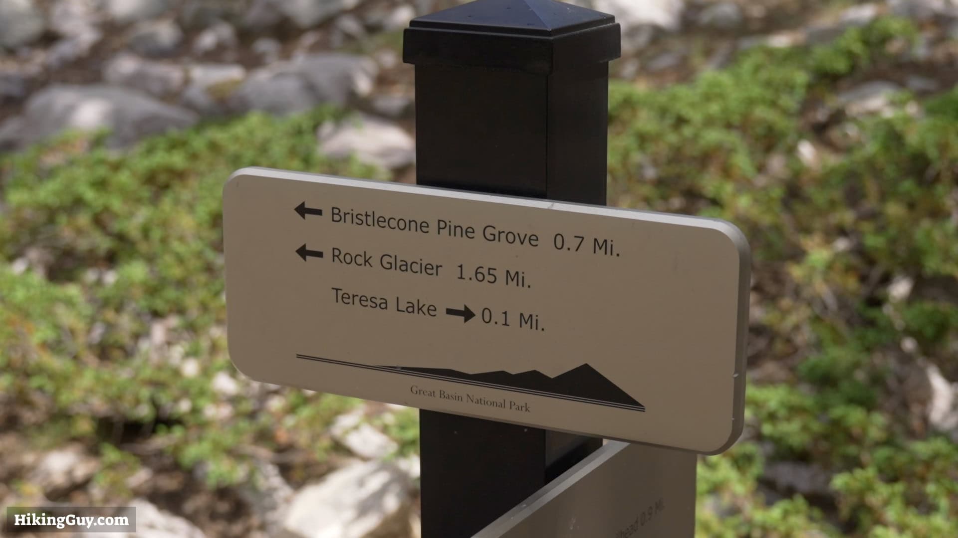 Bristlecone And Alpine Loop Great Basin Signs