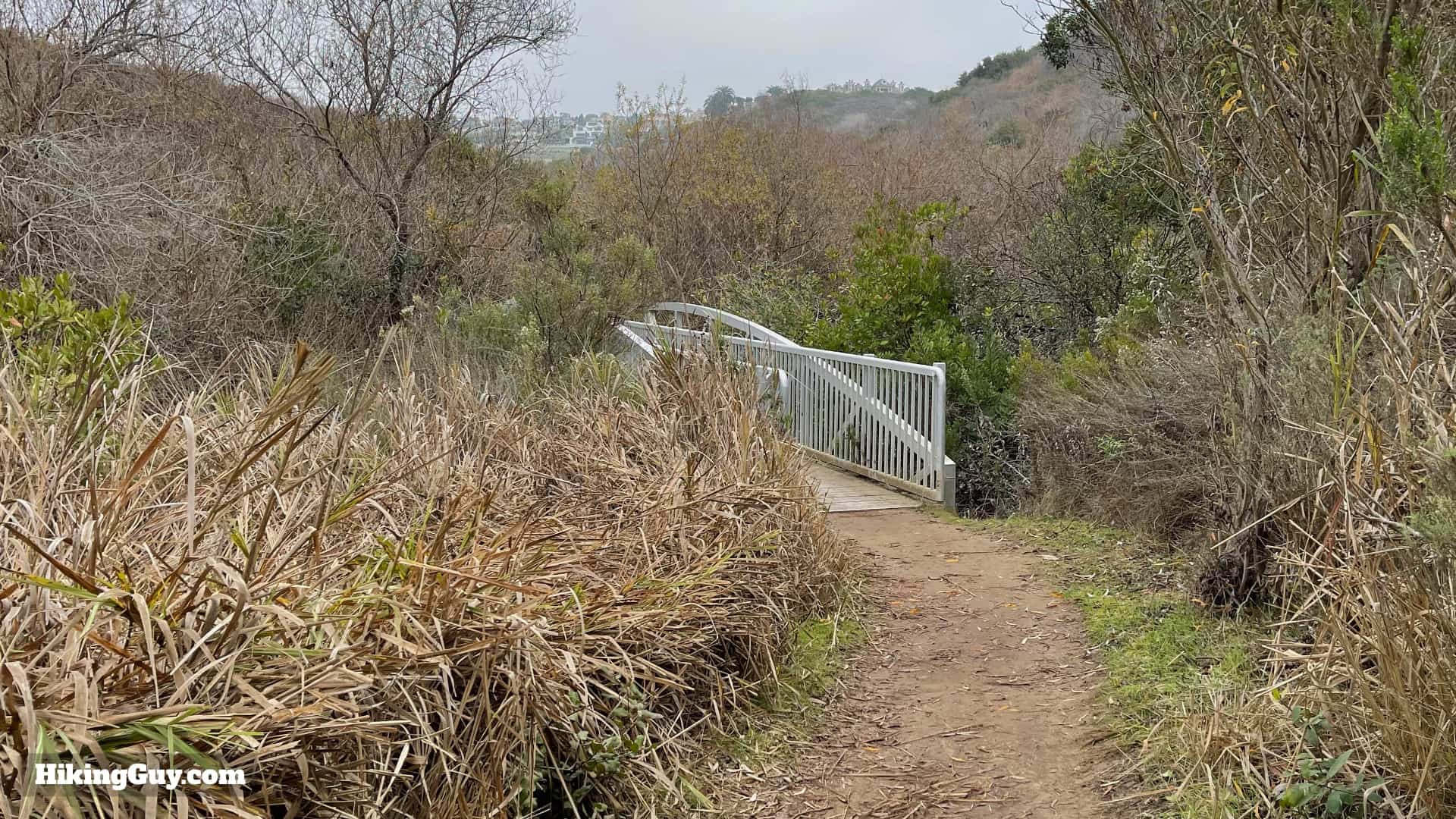 Buck Gully Trail Directions 12
