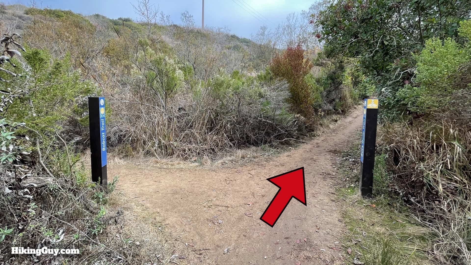 Buck Gully Trail Directions 16