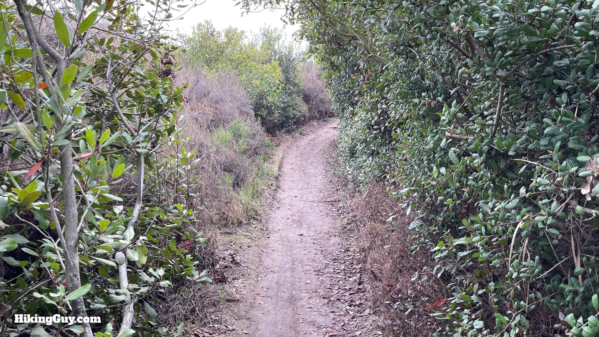 Buck Gully Trail Directions 17