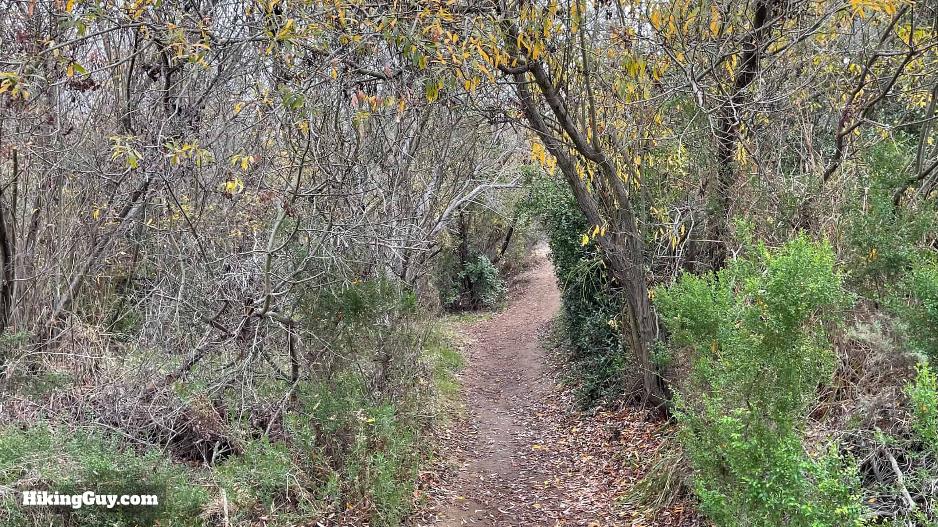Buck Gully Trail Directions 9