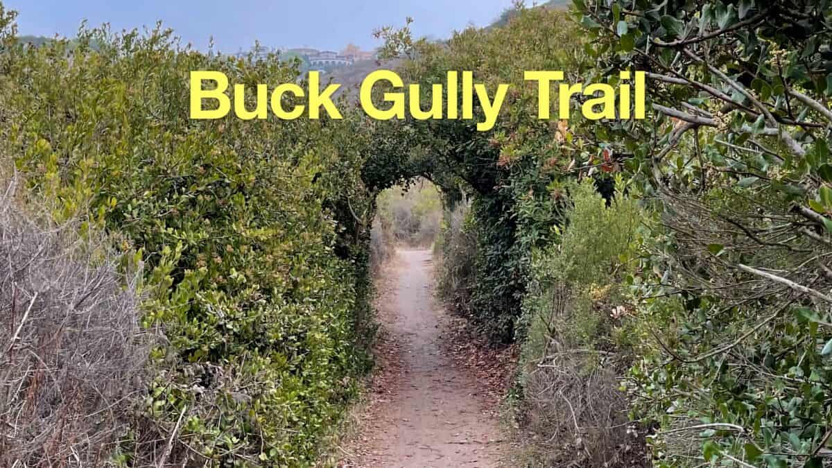 Buck Gully Trail Guide