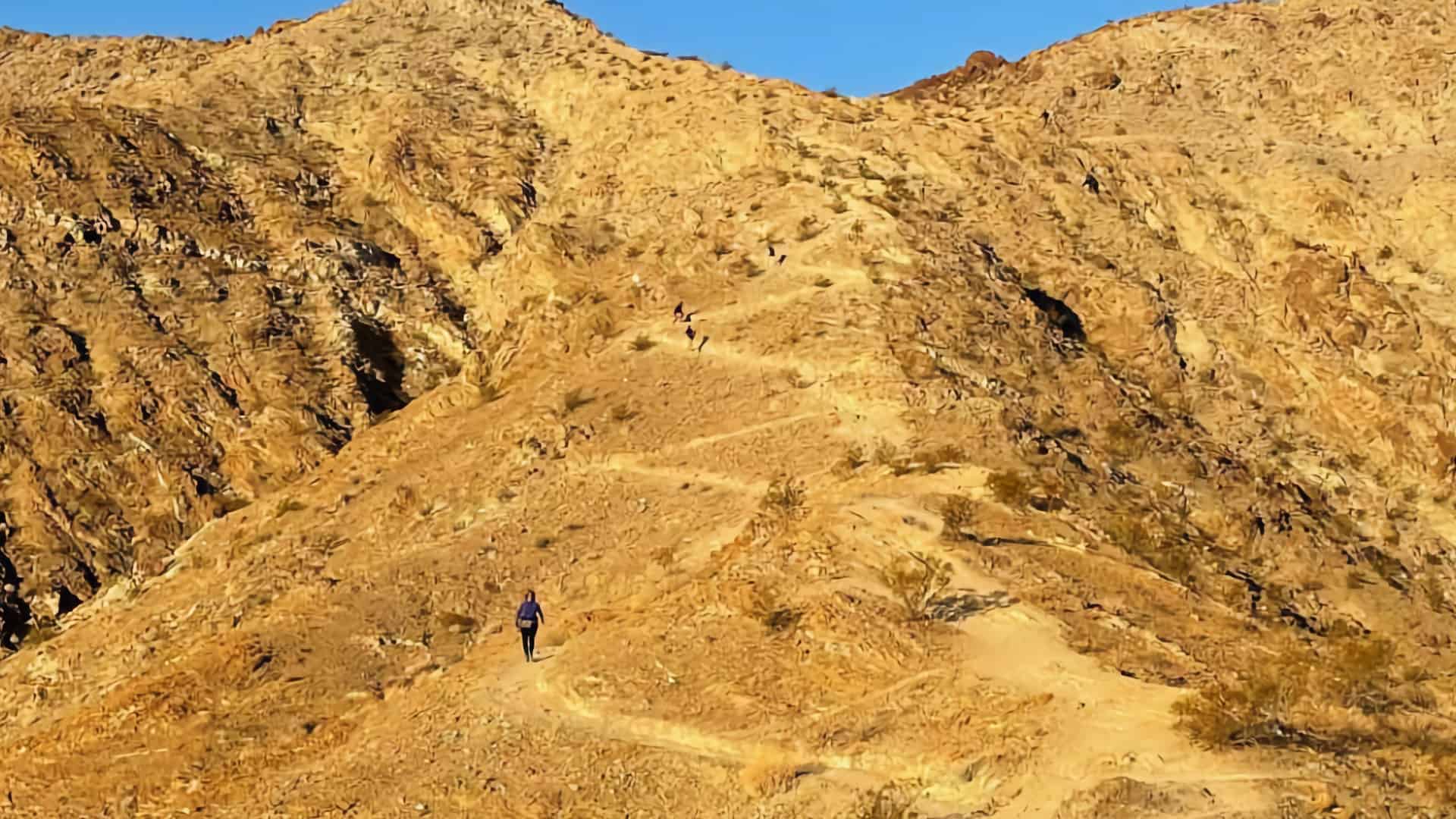 Bump and Grind Trail Guide (Palm Desert)