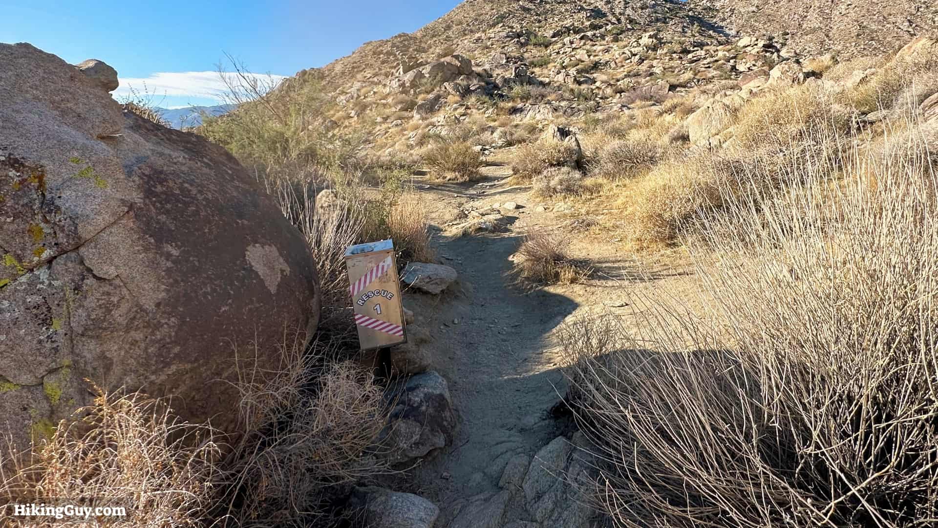 Cactus To Clouds Directions Update 11