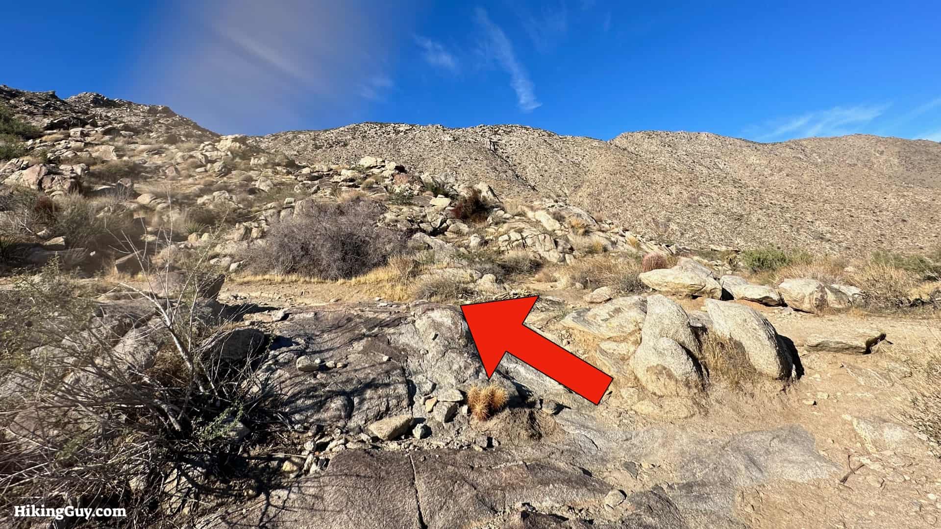 Cactus To Clouds Directions Update 13