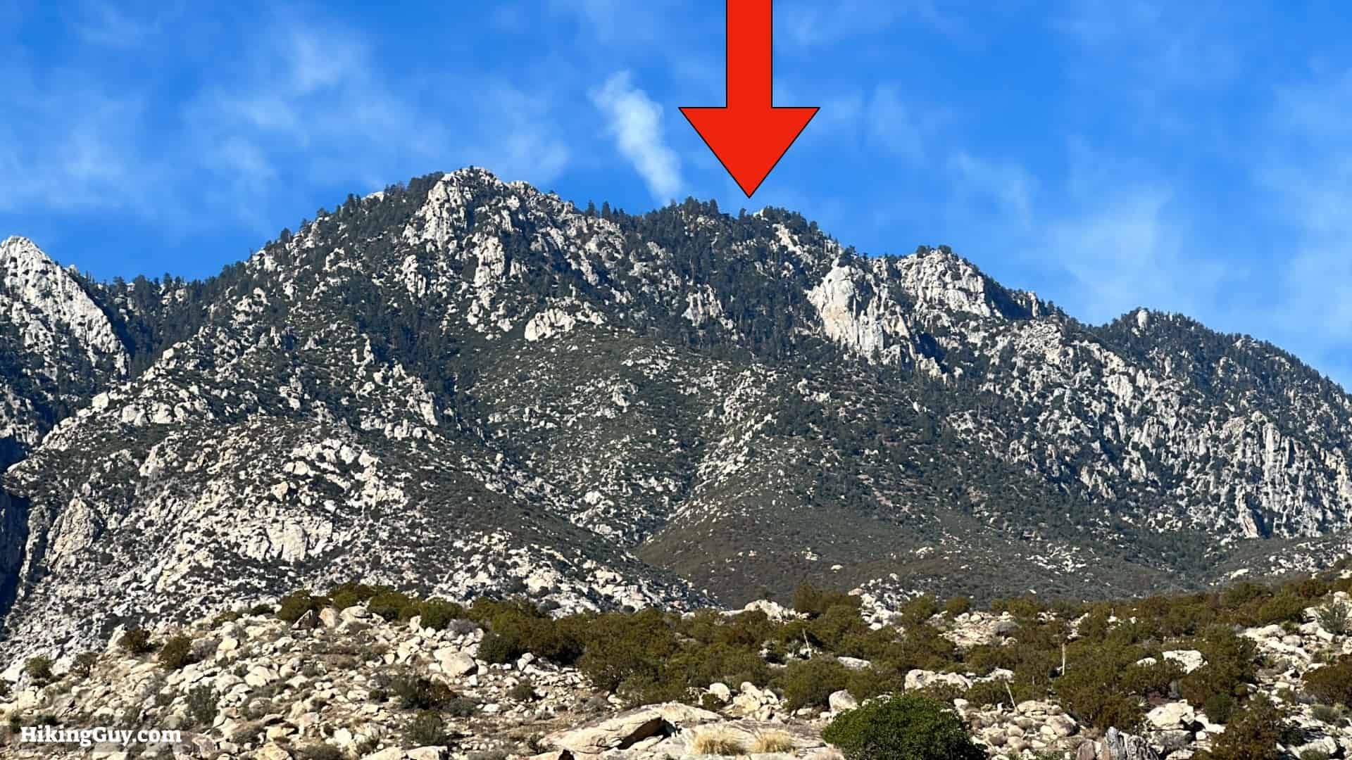 Cactus To Clouds Directions Update 15