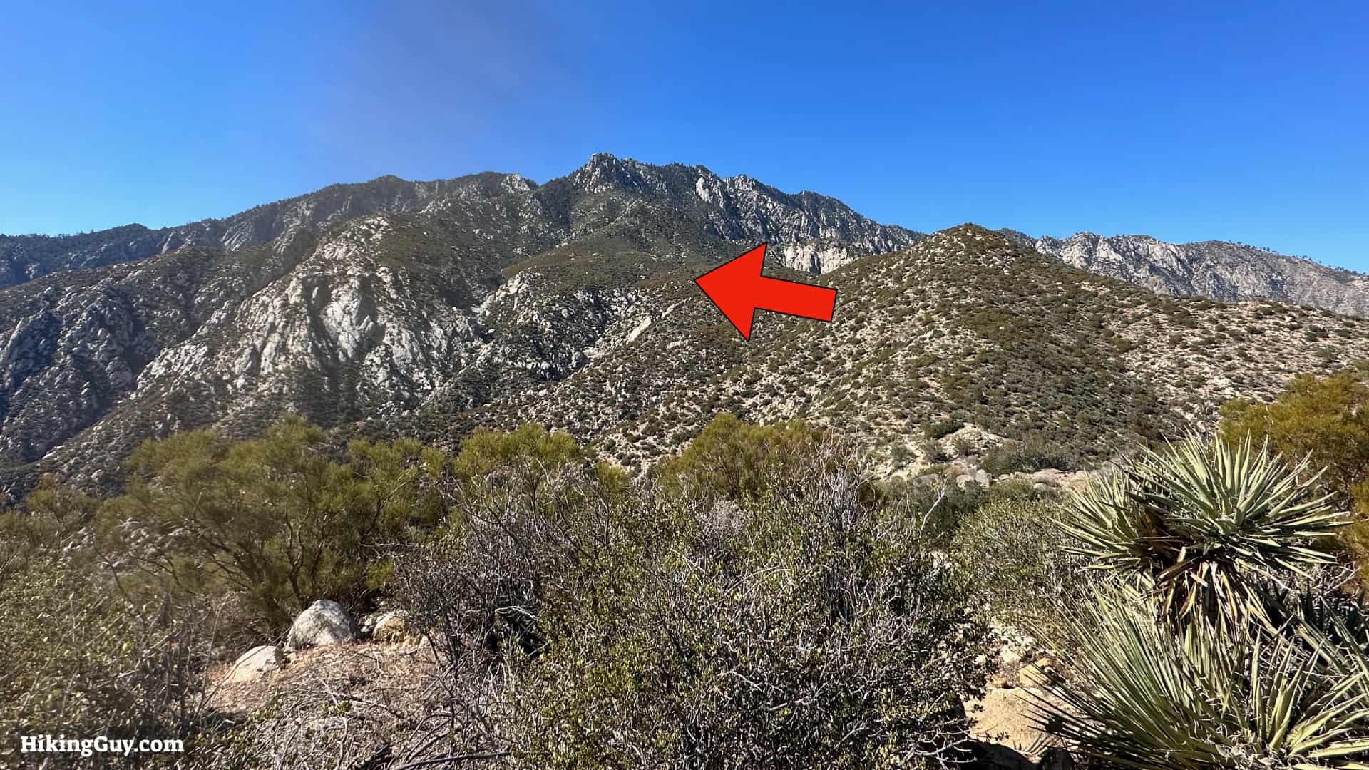 Cactus To Clouds Directions Update 16