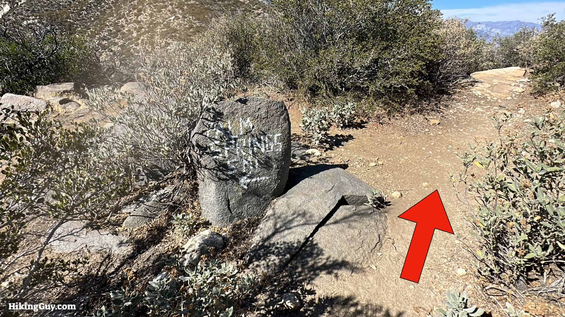 Cactus To Clouds Directions Update 17