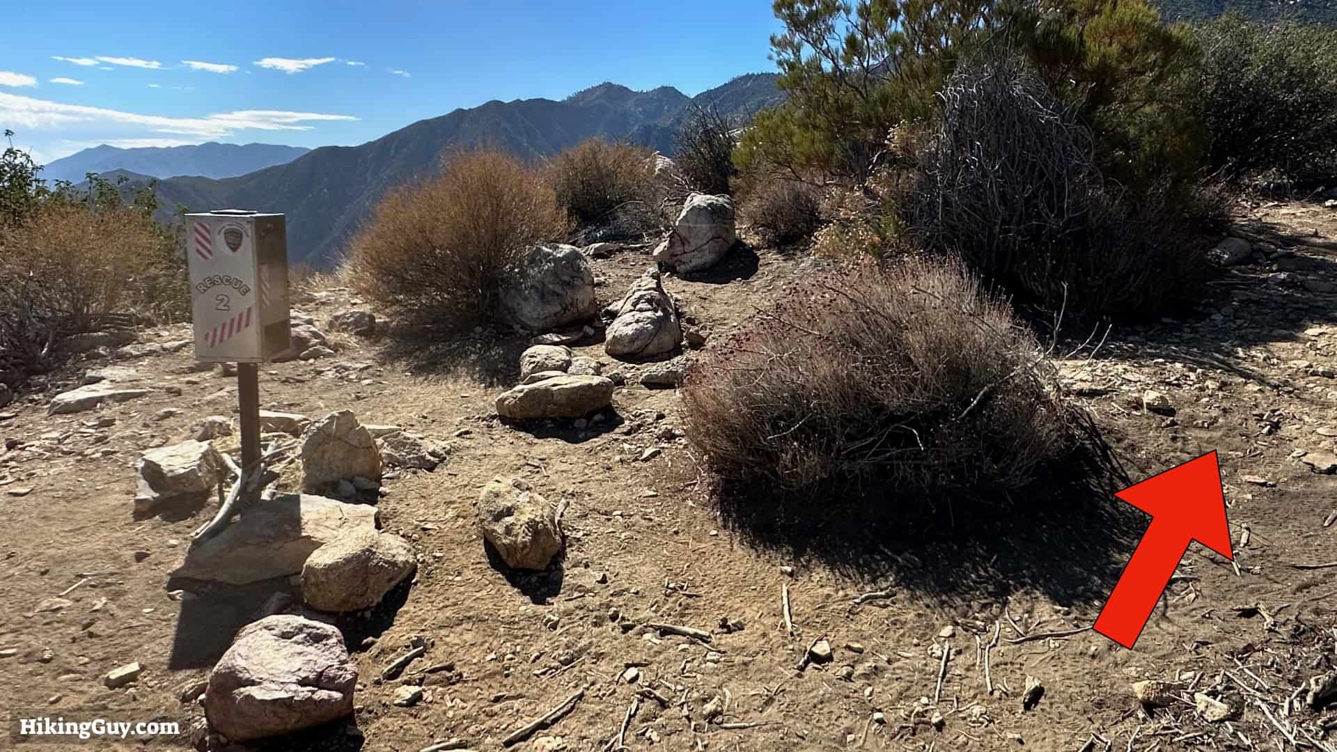 Cactus To Clouds Directions Update 18