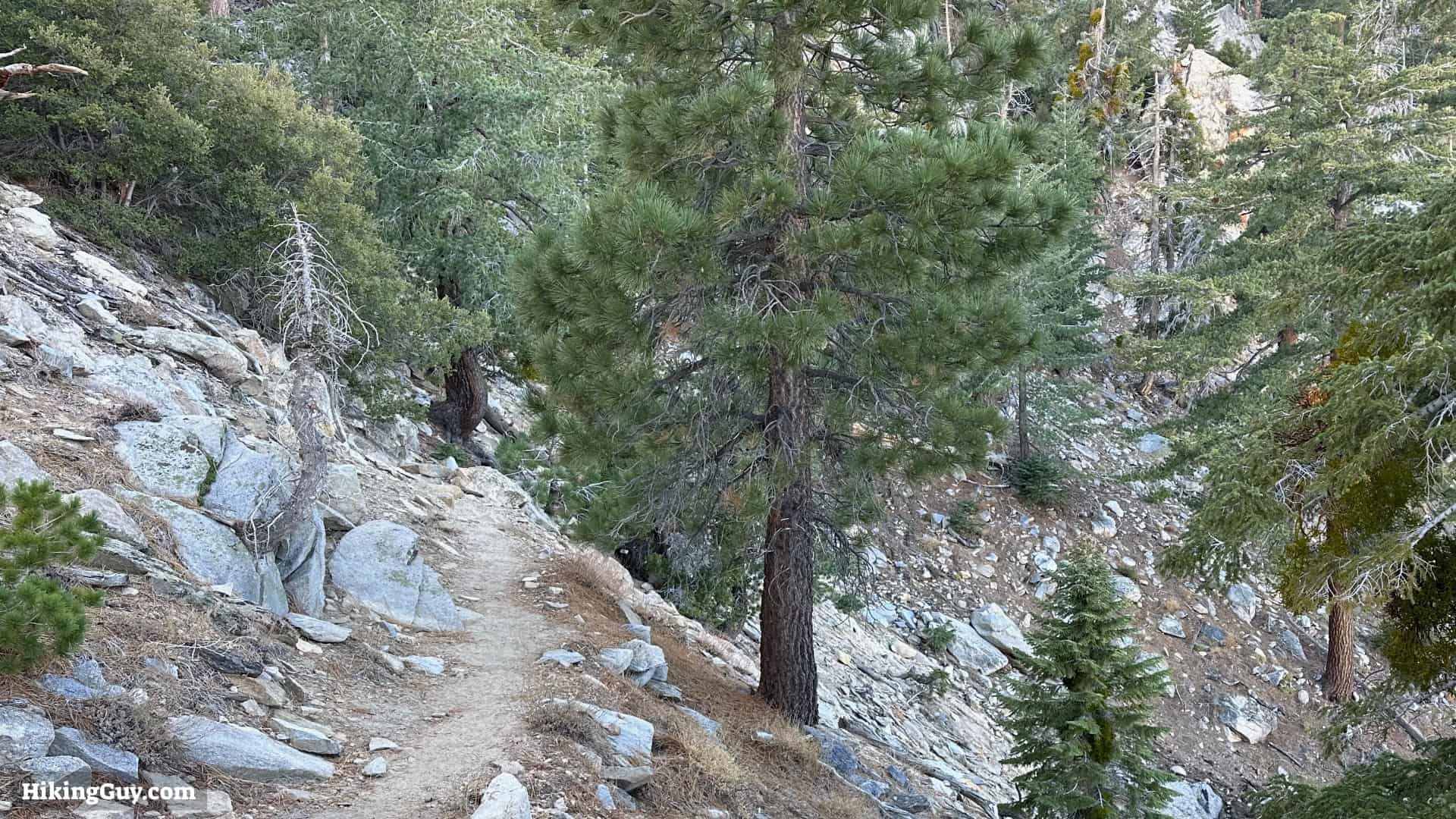 Cactus To Clouds Directions Update 21