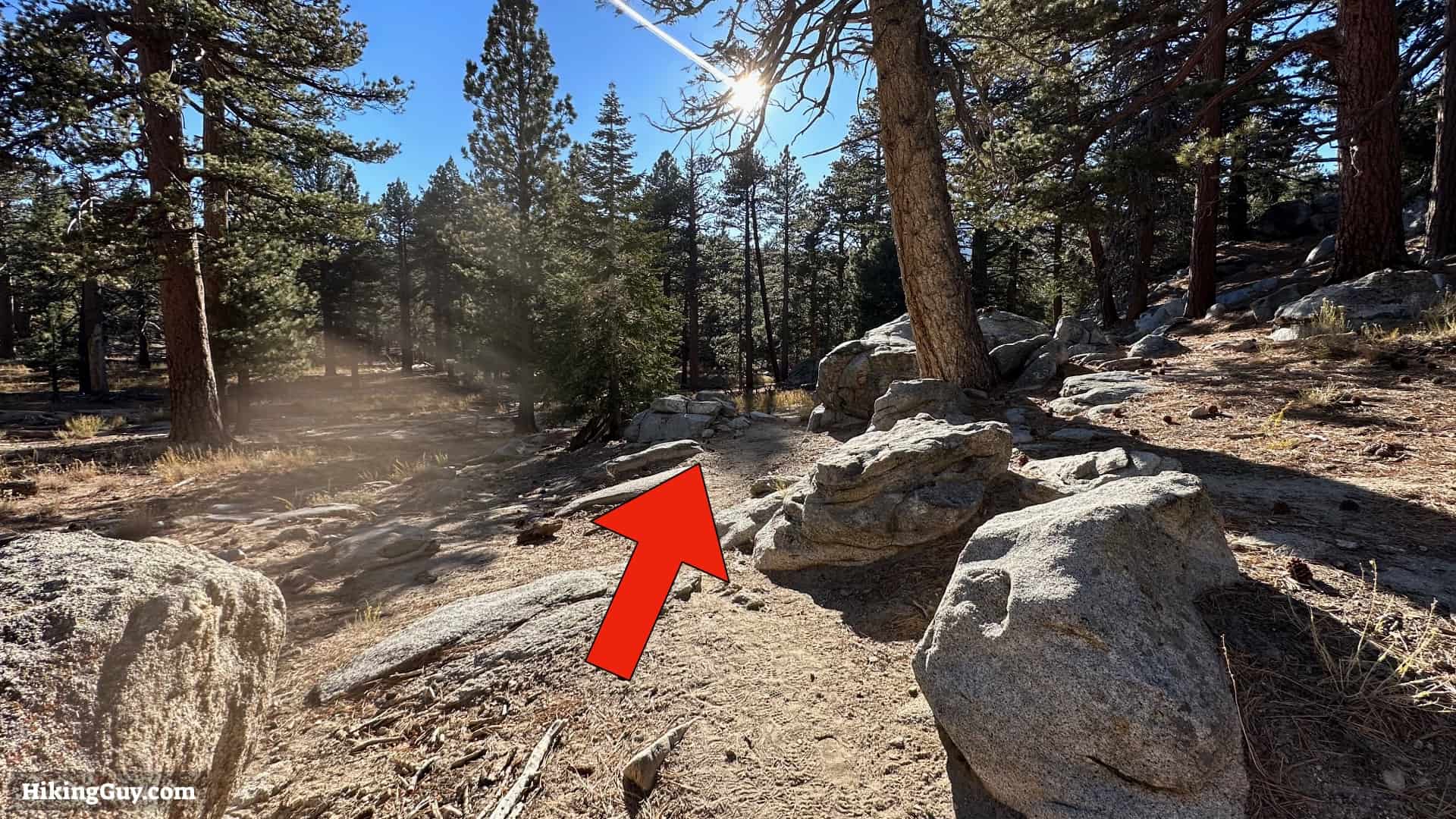 Cactus To Clouds Directions Update 26
