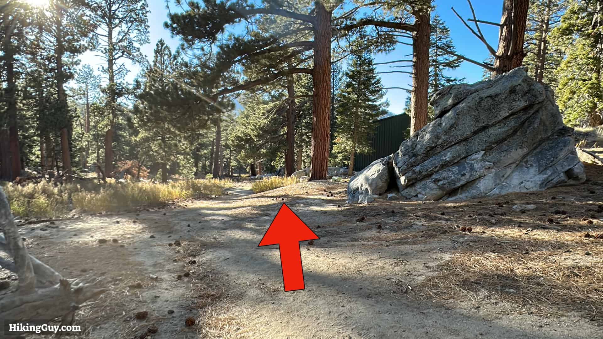Cactus To Clouds Directions Update 27