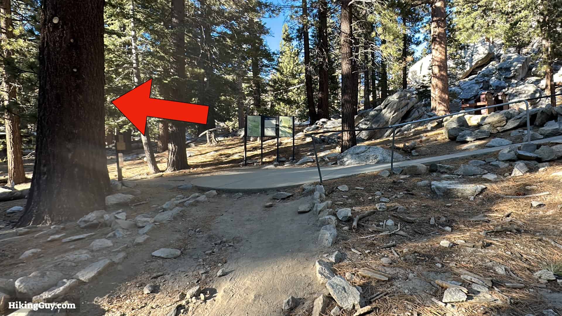 Cactus To Clouds Directions Update 28