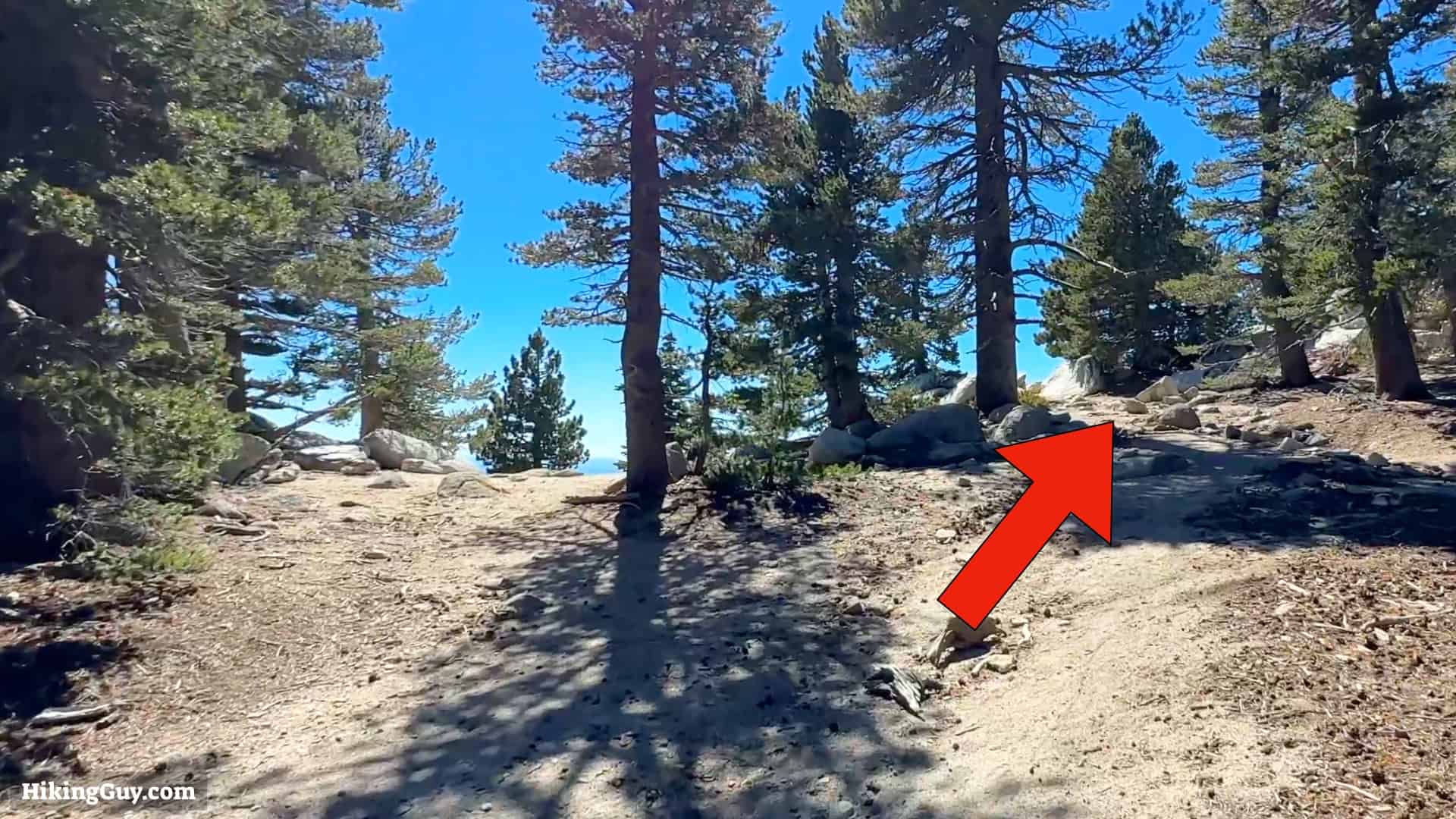 Cactus To Clouds Directions Update 38