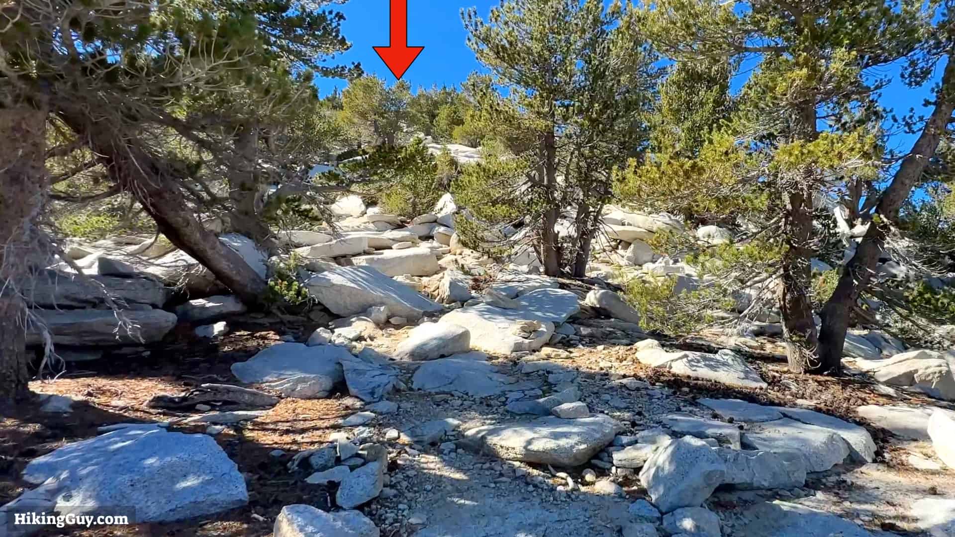 Cactus To Clouds Directions Update 45