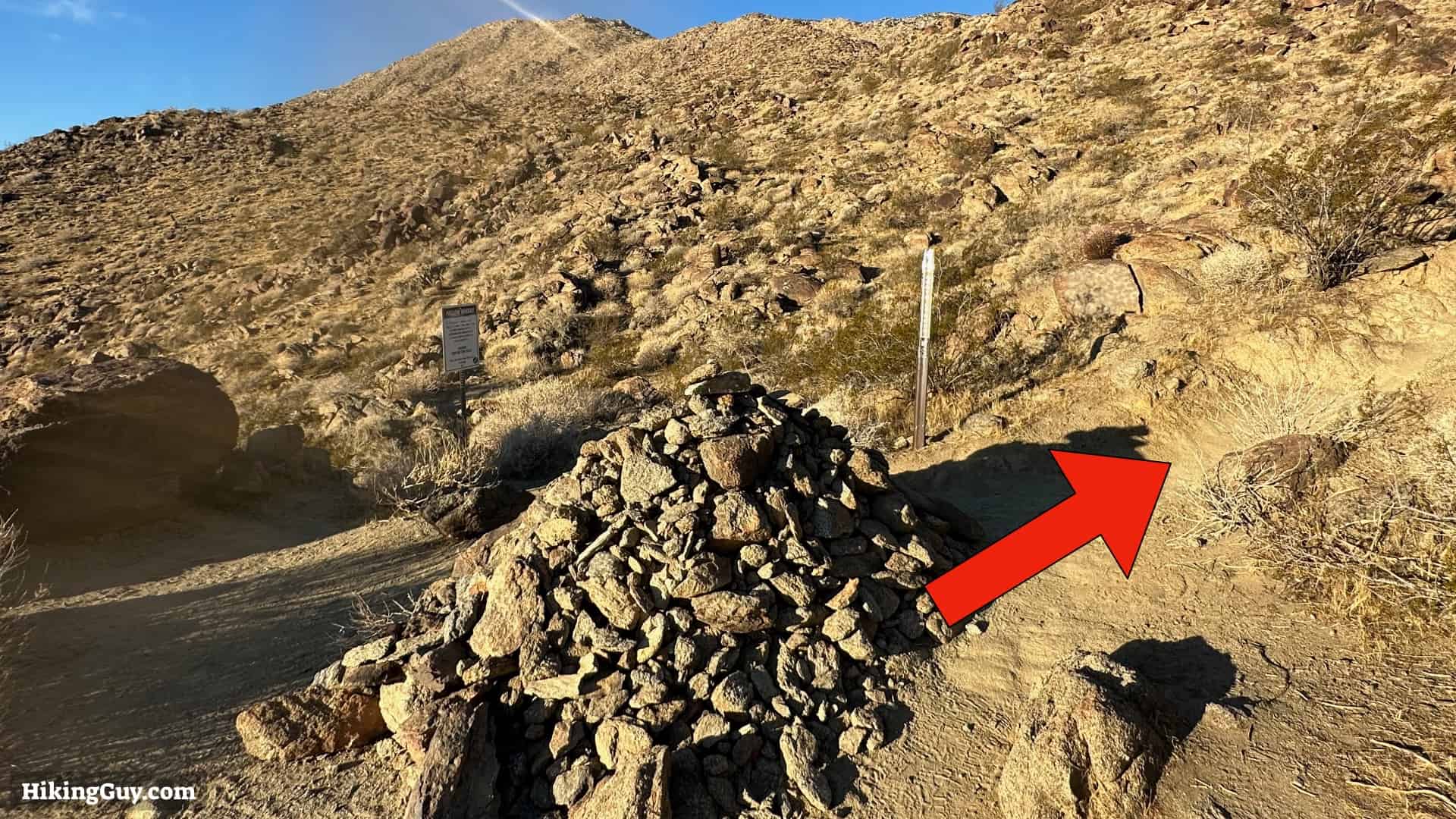 Cactus To Clouds Directions Update 8