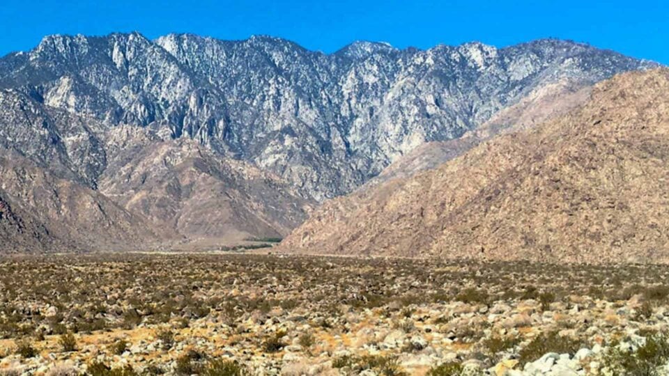 Cactus To Clouds Featured