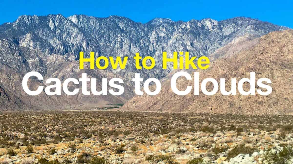 Cactus to Clouds Hike