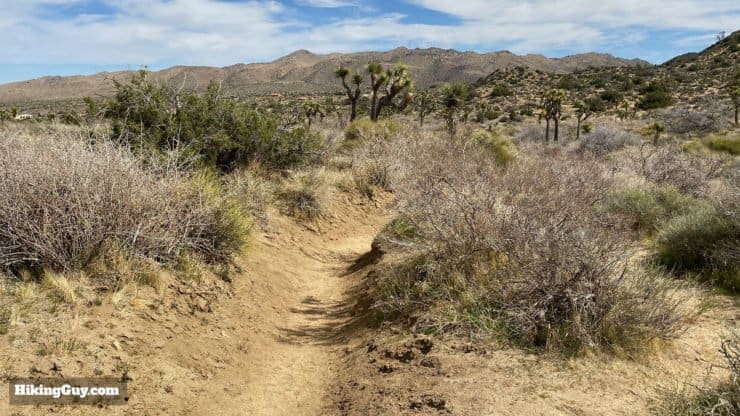 California Riding And Hiking Trail 11