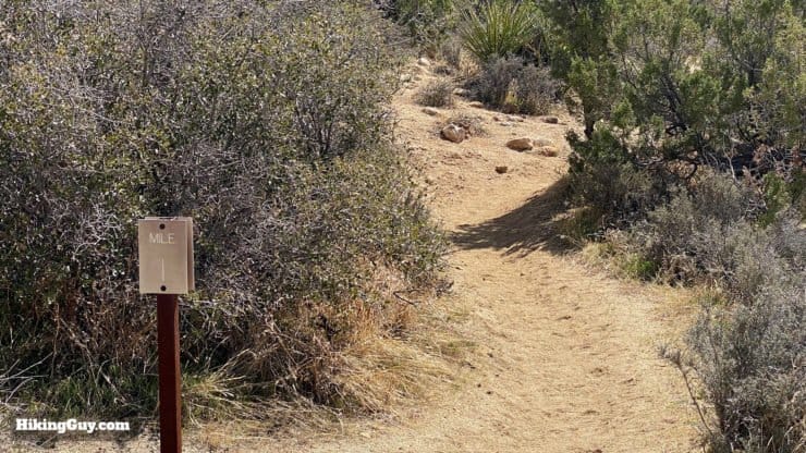 California Riding And Hiking Trail 15