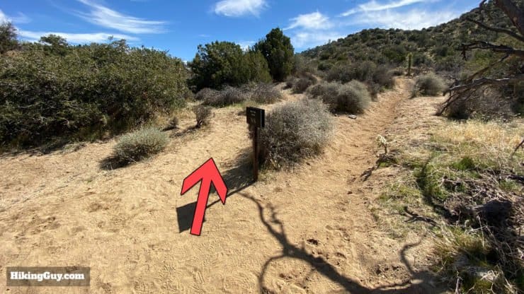 California Riding And Hiking Trail 16